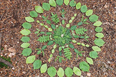 cercles